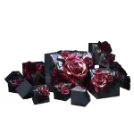 Package Image